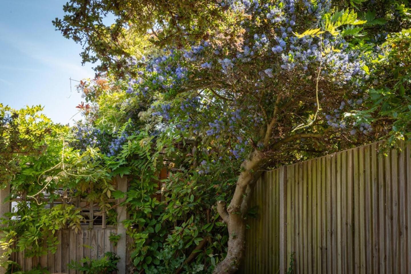 Eden Cottage Whitstable Exteriör bild